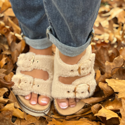 Corkys Feelin Saucy Sherpa